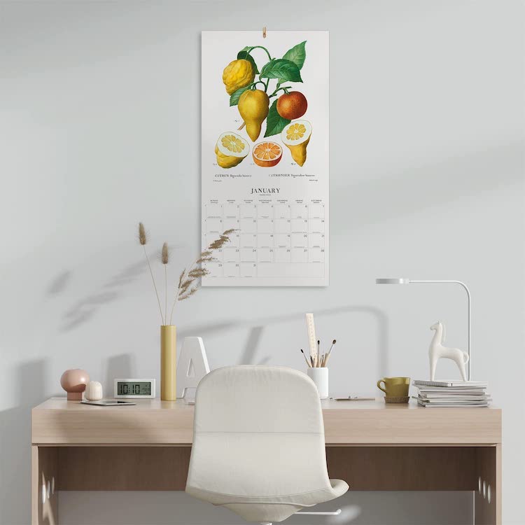 botanical art wall calendar