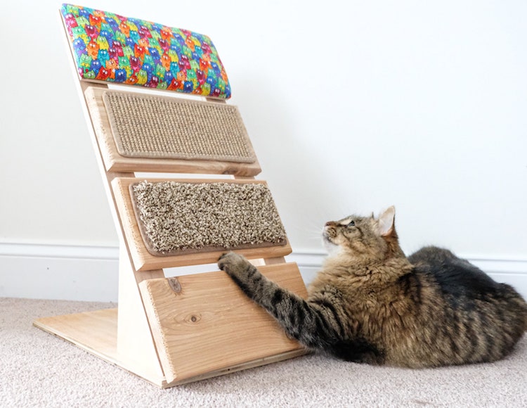 Cat Scratch Ladder