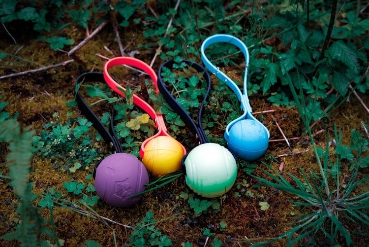 Colorful Biothane Tug Toys