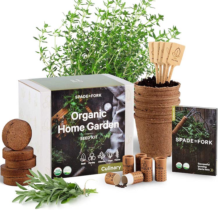 Organic Home Garden