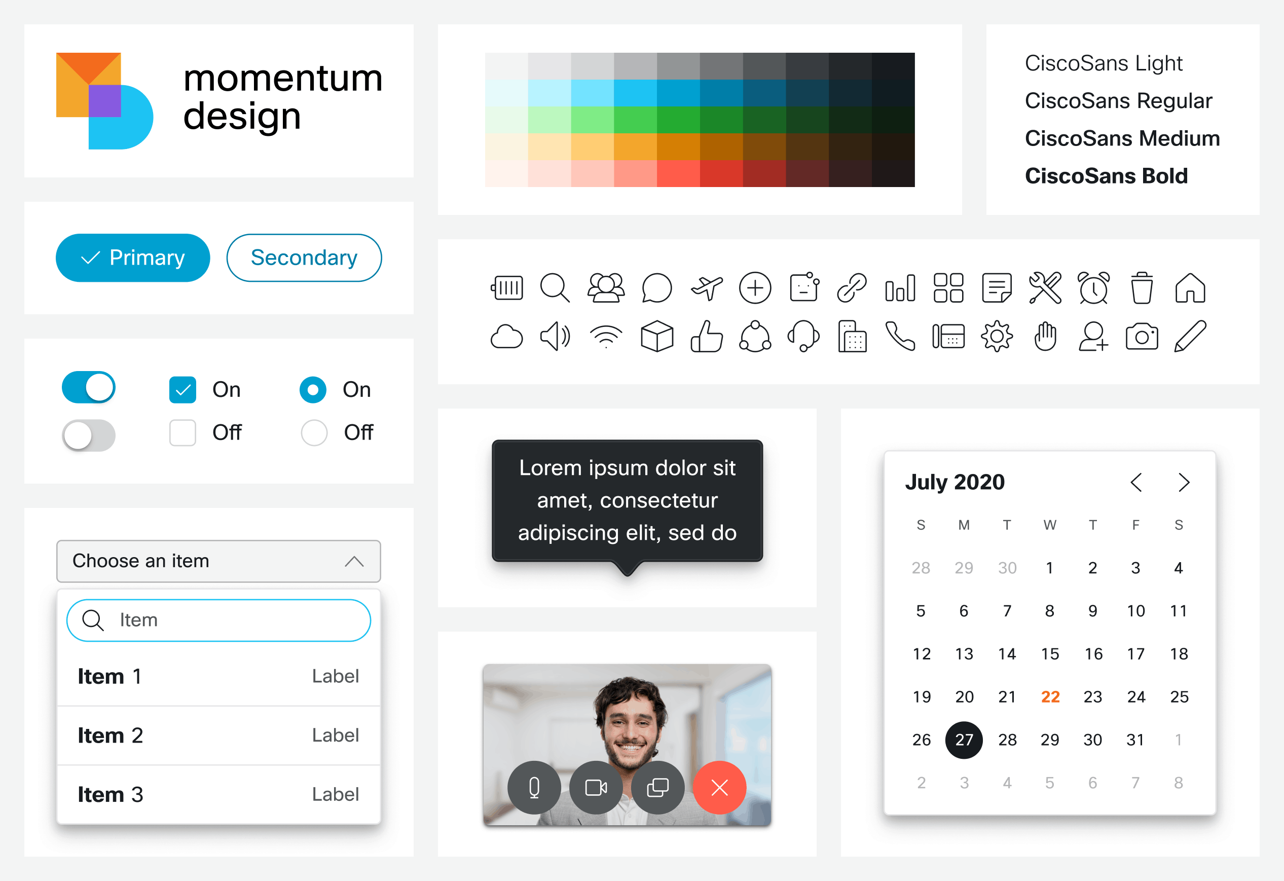 Cisco's Momentum library